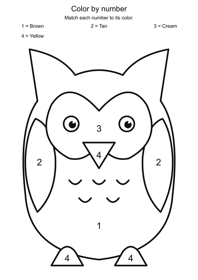 Woodland owl: color by number printable activity preview