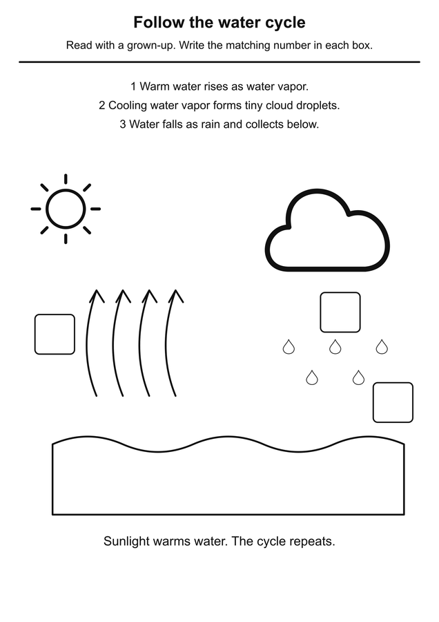 Discover the water cycle printable activity preview