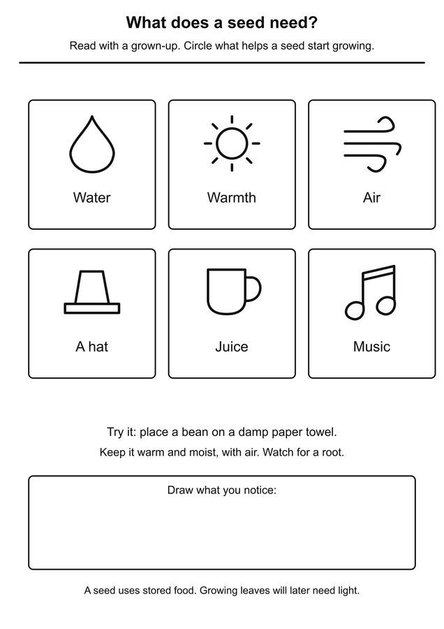 What a germinating seed needs printable activity preview